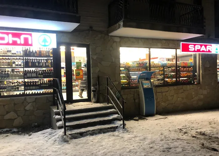 Bakuriani Mgzavrebi