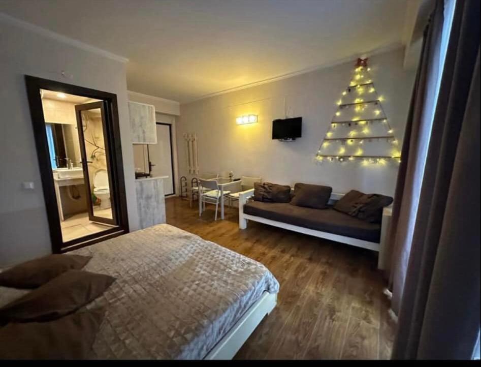 Apartment Mgzavrebi *